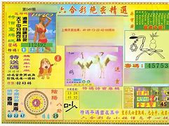 澳门美人鱼三肖三码精准100%,数据解释落实_整合版121,127.13