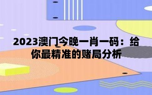 （澳门最精准正最精准资料2023）