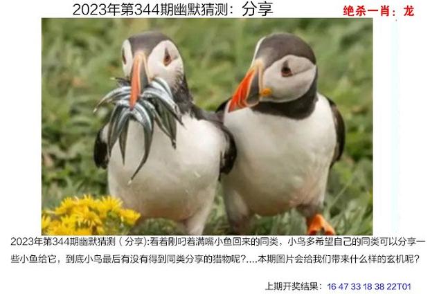 澳门最新资料2023年，澳门最新资料2023年网站彩民之家