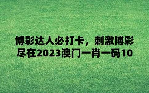 澳门最准的一肖一码，澳门最准的一肖一码100杳句今晚上3O9开么啊